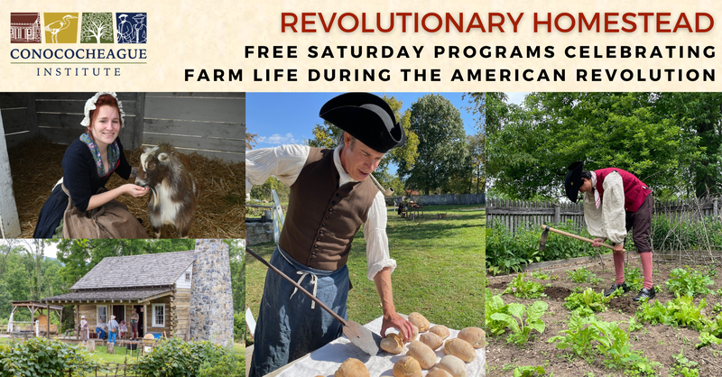 Revolutionary Homestead CI Banner 2025