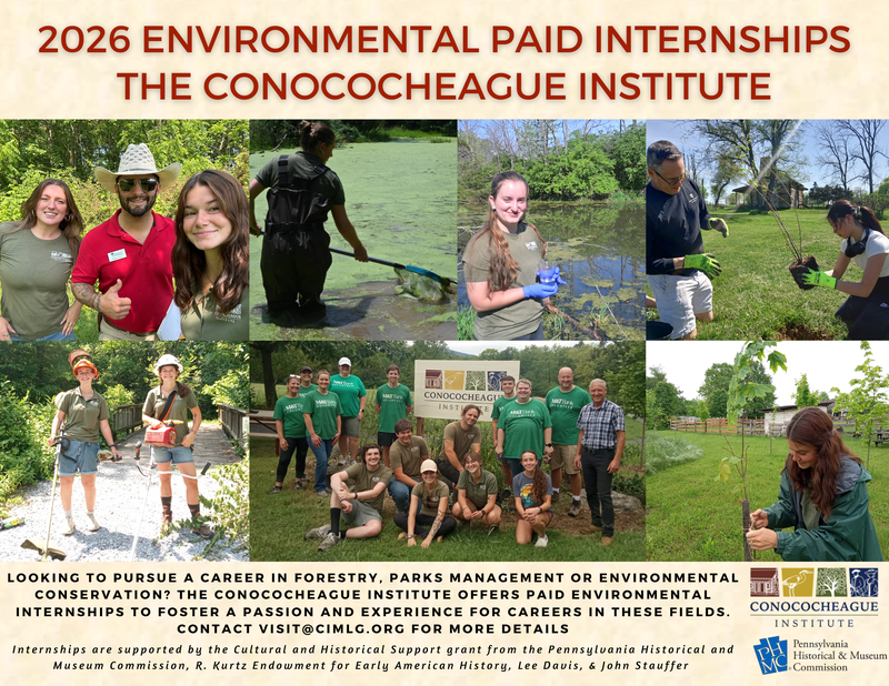Environmental Internships